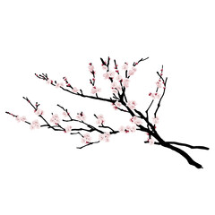 Plum tree with hand-painted flowersNo4