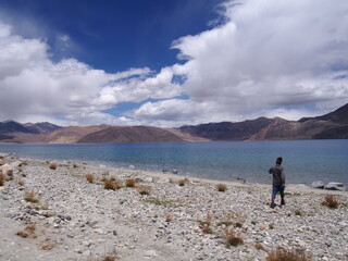 A man walks around by a beautiful lake, Pangong tso (Lake), Durbuk, Leh, Ladakh, Jammu and Kashmir, India