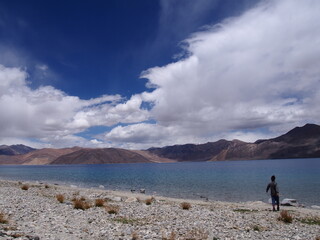 A man walks around by a beautiful lake, Pangong tso (Lake), Durbuk, Leh, Ladakh, Jammu and Kashmir, India