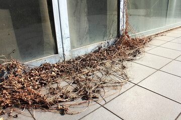 廃墟となったビル