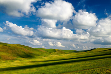 The summer Huunbuir grassland landscape of Inner Mongolian of China.