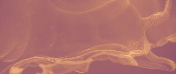 Ink Gold Texture. Brown Volcanic Splash. Red Art 