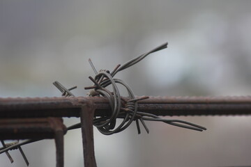 barbed wire fence