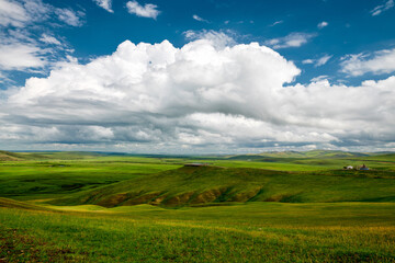 The summer Huunbuir grassland landscape of Inner Mongolian of China.