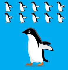 Animal Animation Sequence Adelie Penguin Cartoon Vector