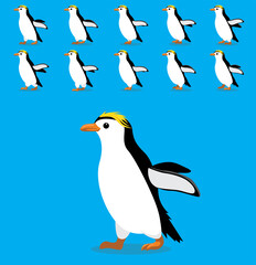 Animal Animation Sequence Royal Penguin Cartoon Vector