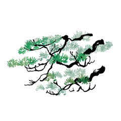 Hand-painted pine tree illustrationNo.13