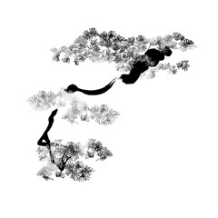 Hand-painted pine tree illustrationNo.2