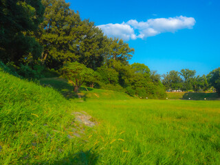 街中にある緑広がる公園