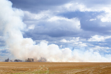 Fototapeta na wymiar White billowing clouds of smoke from a straw field on fire in an autumn countryside landscape