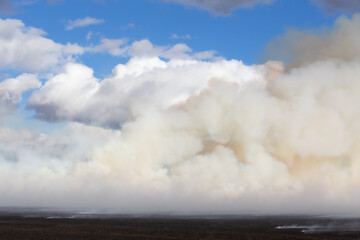 Fototapeta premium White billowing clouds of smoke from a straw field on fire in an autumn countryside landscape