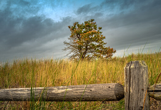 Fotos, Bilder, Stockmedien von Dave | Adobe Stock Fotos, Bilder, Stockmedien von funnyhill | Adobe Stock
