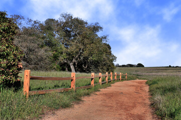 Fototapeta na wymiar Dirt road running beside a rail fence
