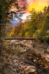 bridge over the river