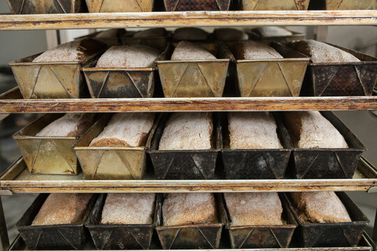 Few days in a baking factory