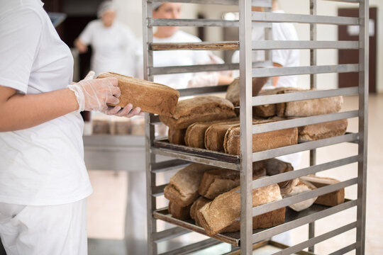 Few days in a baking factory