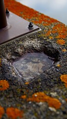 渓谷の秋模様　水たまり