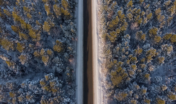Amazing landscape of freeway through winter forest