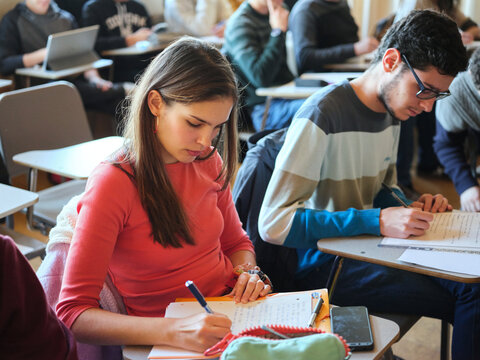 Young student at class