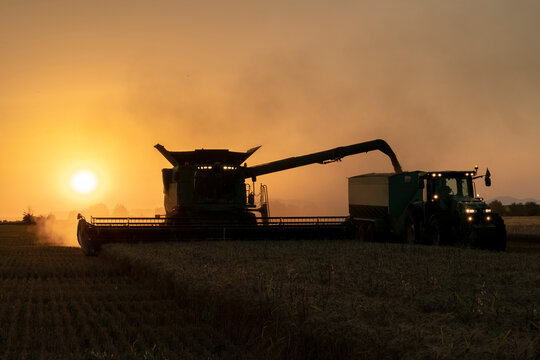 Harvesting on sunset