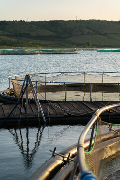 Fish cage