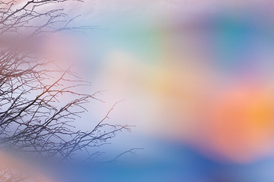 Winter branches through colourful light captured while shooting through a piece of crystal