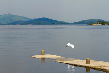 
View of the Guanabara bay in Paquetá, Rio de Janeiro.