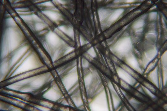 micrograph of gauze mask cloth inlayer texture