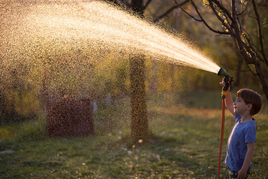 Boy watering garden