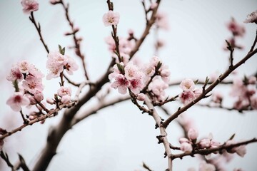 Photos I captured during the peak of spring. 