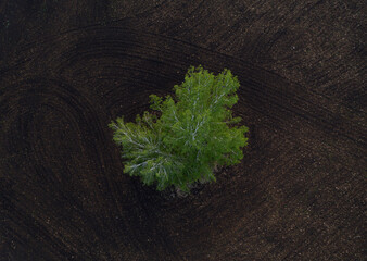 beautiful summer landscape