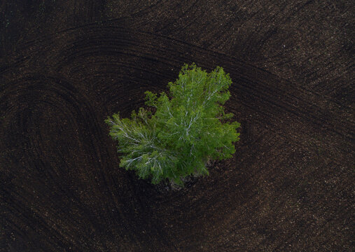 beautiful summer landscape