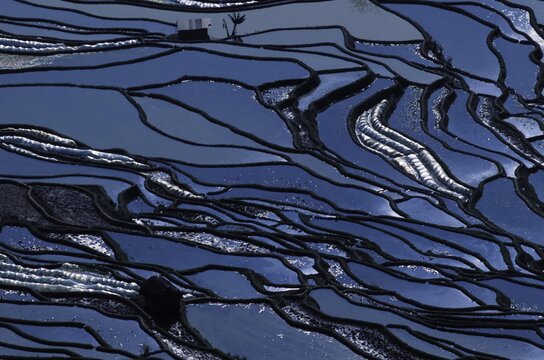 Rice terraces at Tiger's Mouth, Yuanyang, Yunnan, China, Asia