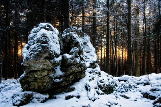 Idolatrous altar, served Celtic priests, astronomers around 600t BC to determine the seasons with the help of the gap exactly in north-south direction, Koenigsheim, Tuttlingen, Baden-Wuerttemberg, Germany, Europe