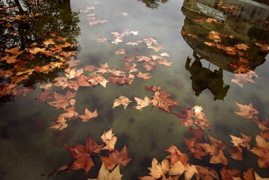 Autumn foliage at the General Martinez Campos Statue, Retiro Park, Jardines del Buen Retiro, Madrid, Spain, Europe