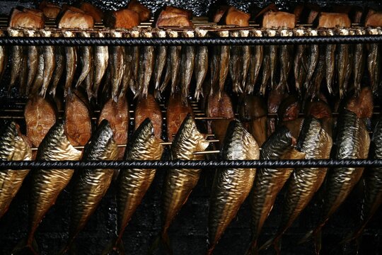 Fish being smoked in the smokehouse, Binz, Ruegen, Germany, Europe
