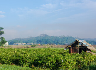 Fototapeta na wymiar landscape with a house in the field