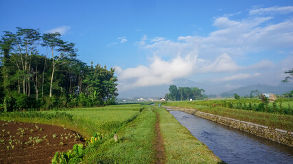 landscape with road and field