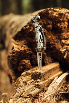 Close-up of penknife on wood in forest