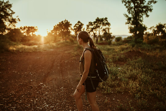 Female trekker looking at sunset view while standing in forest