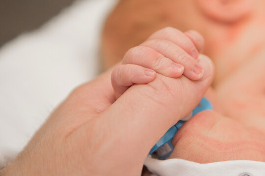 Newborn Baby's hand. Mother and father holding newborn baby arm