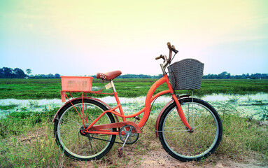 Obraz premium An orange retro-style bicycle with a basket for luggage, parked by the river as the sun shines through the concept of exercise and leisure with leisure activities on the weekend.