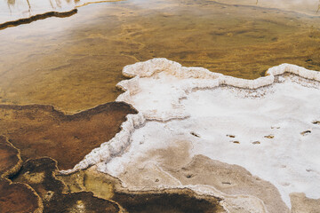 Close up view of the mineral terraces formed at Mammoth Hot Springs in Yellowstone National Park. Useful for abstract backgrounds
