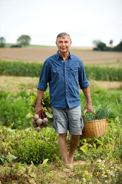 Smiling farmer collecting vegetables in basket at farm