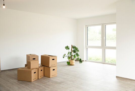 Cardboard boxes with monstera deliciosa on floor against white wall in new house