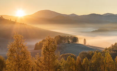 Naklejka na ściany i meble Picturesque autumn view, sunrise. Morning fog over a mountain valley, golden autumn. 