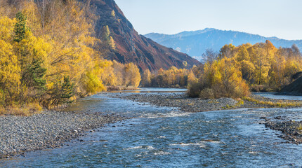 Autumn view of a mountain river. Sunny day.