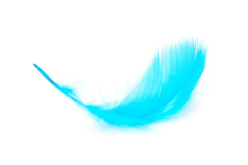 Blue feathers texture on white background