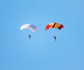 Two parachutists with white parachute floats slowly at low altitude on the background of clear sky