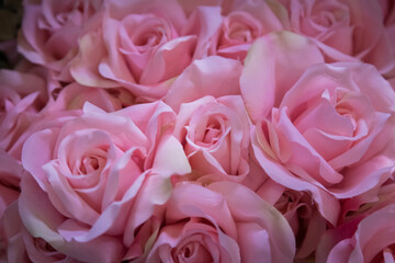 Plastic pink rose for background valentine day